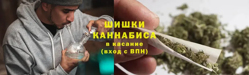 Бошки марихуана OG Kush  гидра ссылки  Гвардейск  купить  